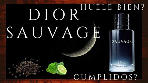 a que huele el dior sauvage|sauvage de dior precio.